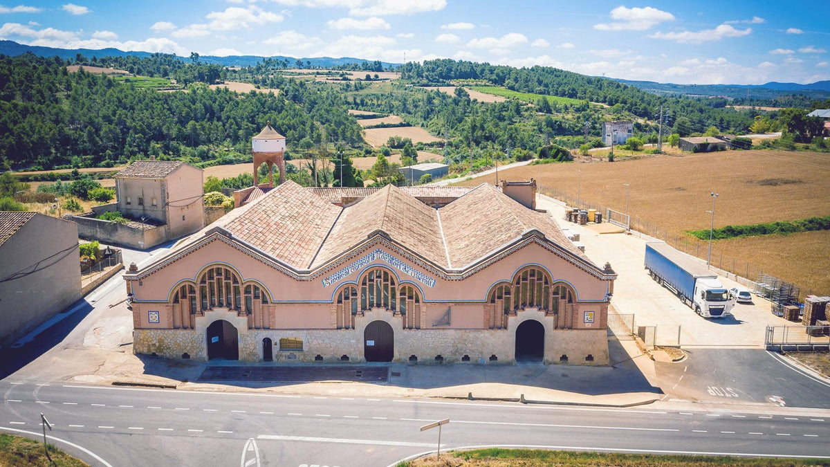 Bodega Domenio