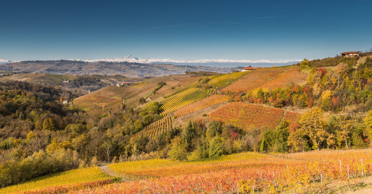 Azienda Agricola Rizieri