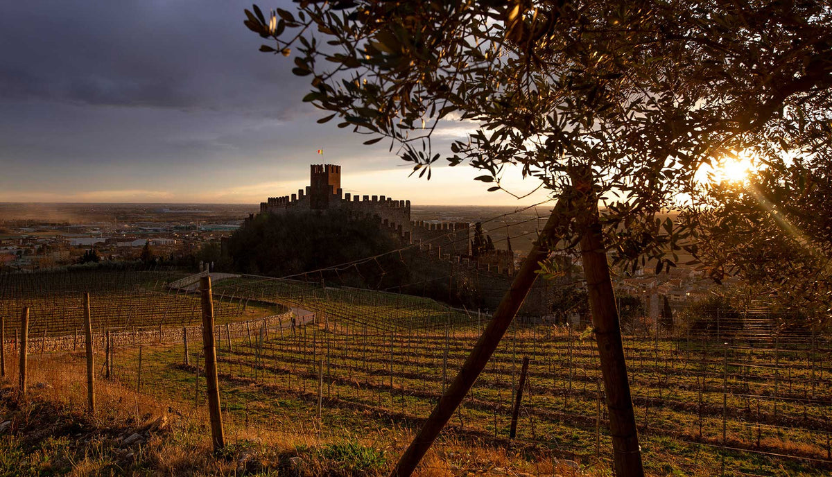 Cantina del Castello