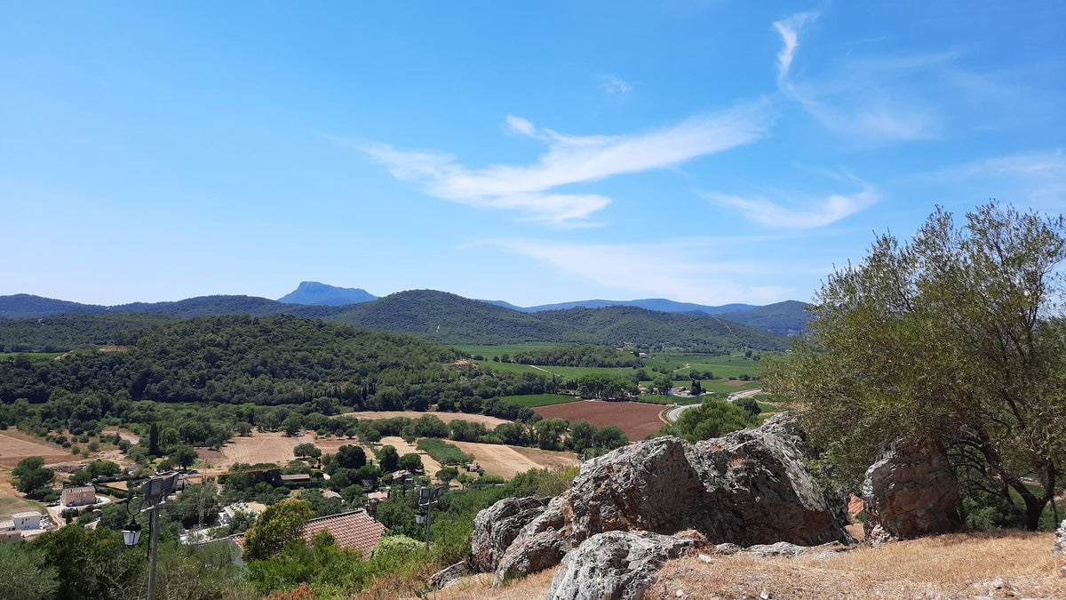 Domaine de la Rouvière