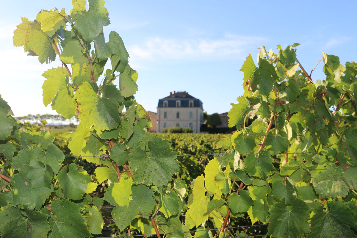 Château Saint Preignan