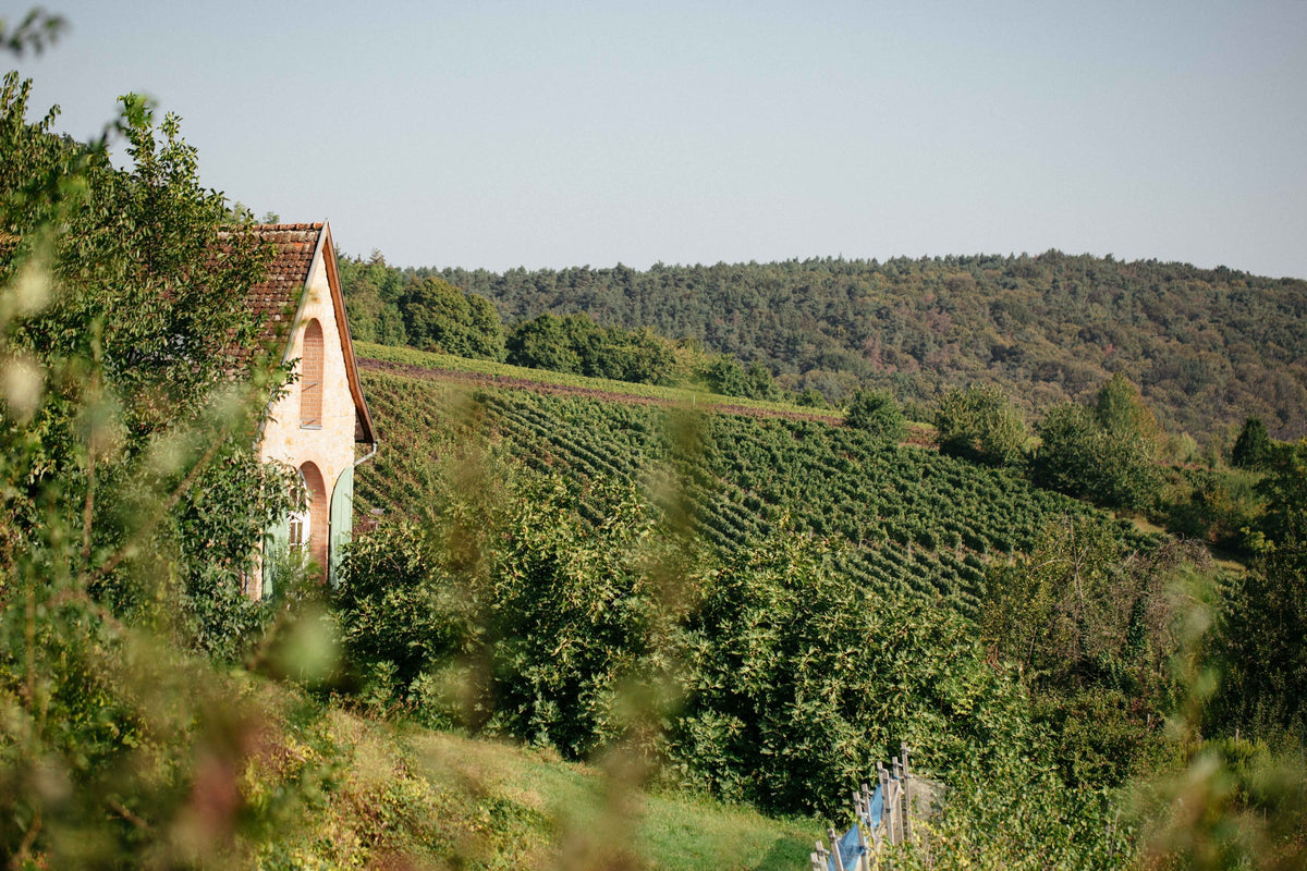 Weingut Bietighöfer