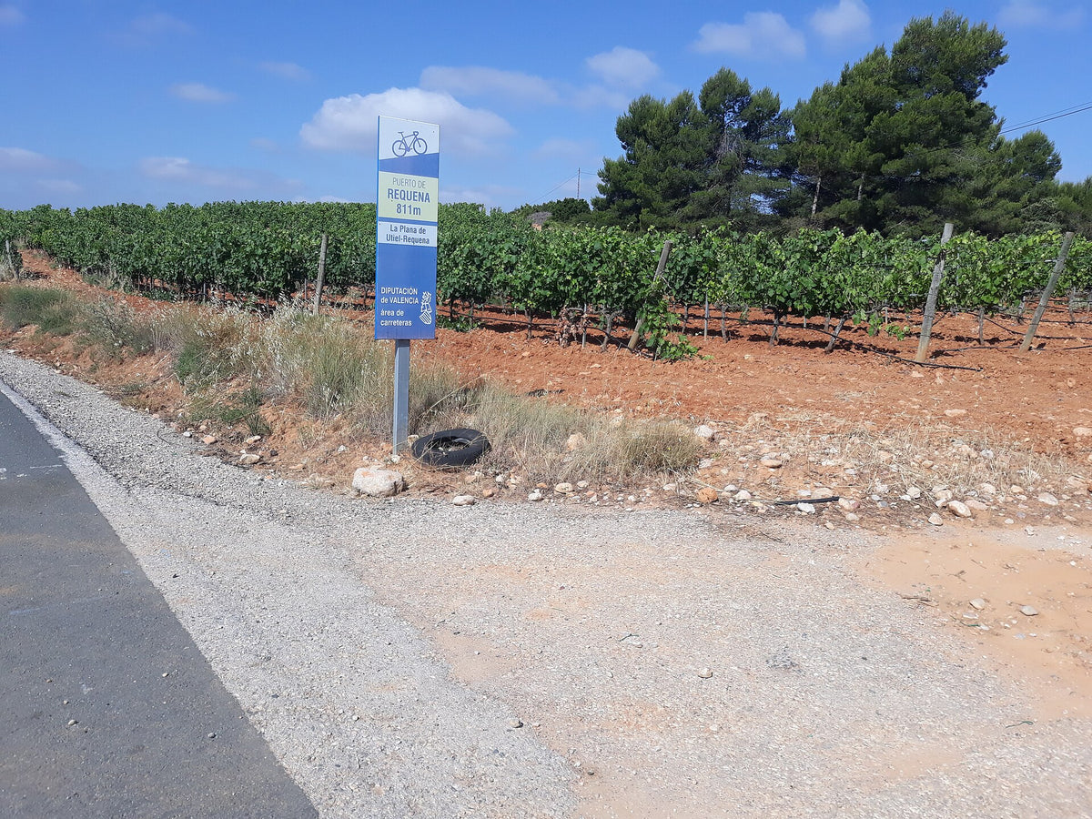 Bodegas Nodus