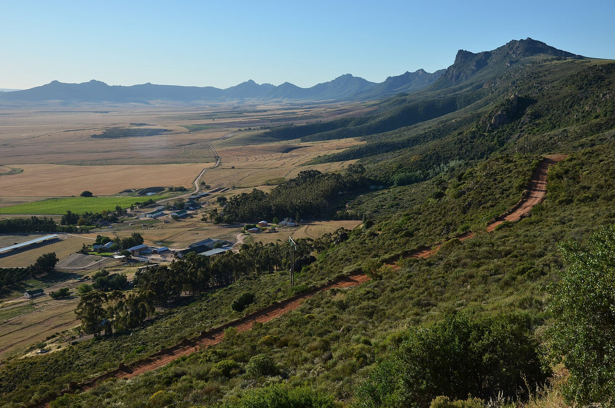 Piekenierskloof