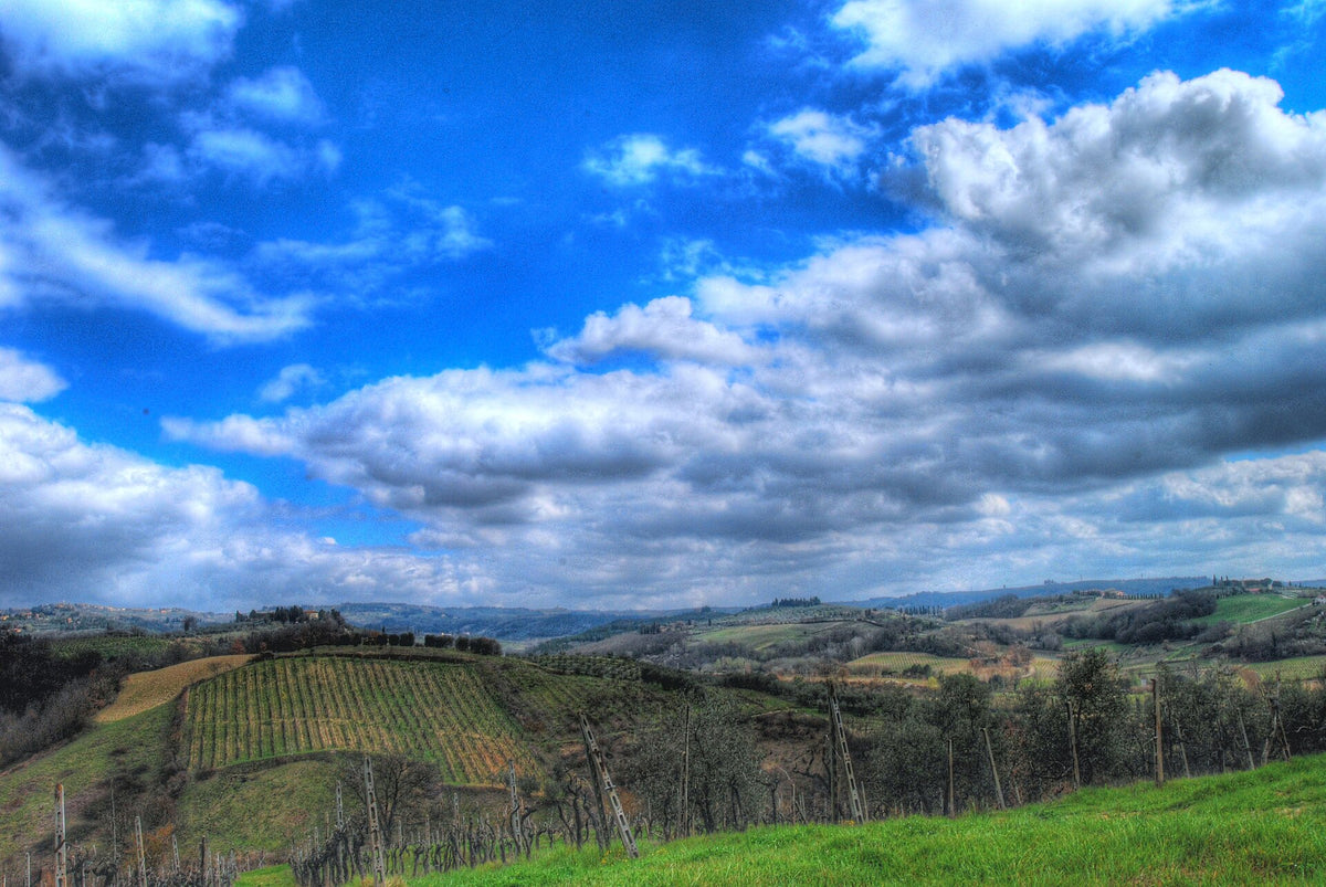 Fattoria Il Casalone