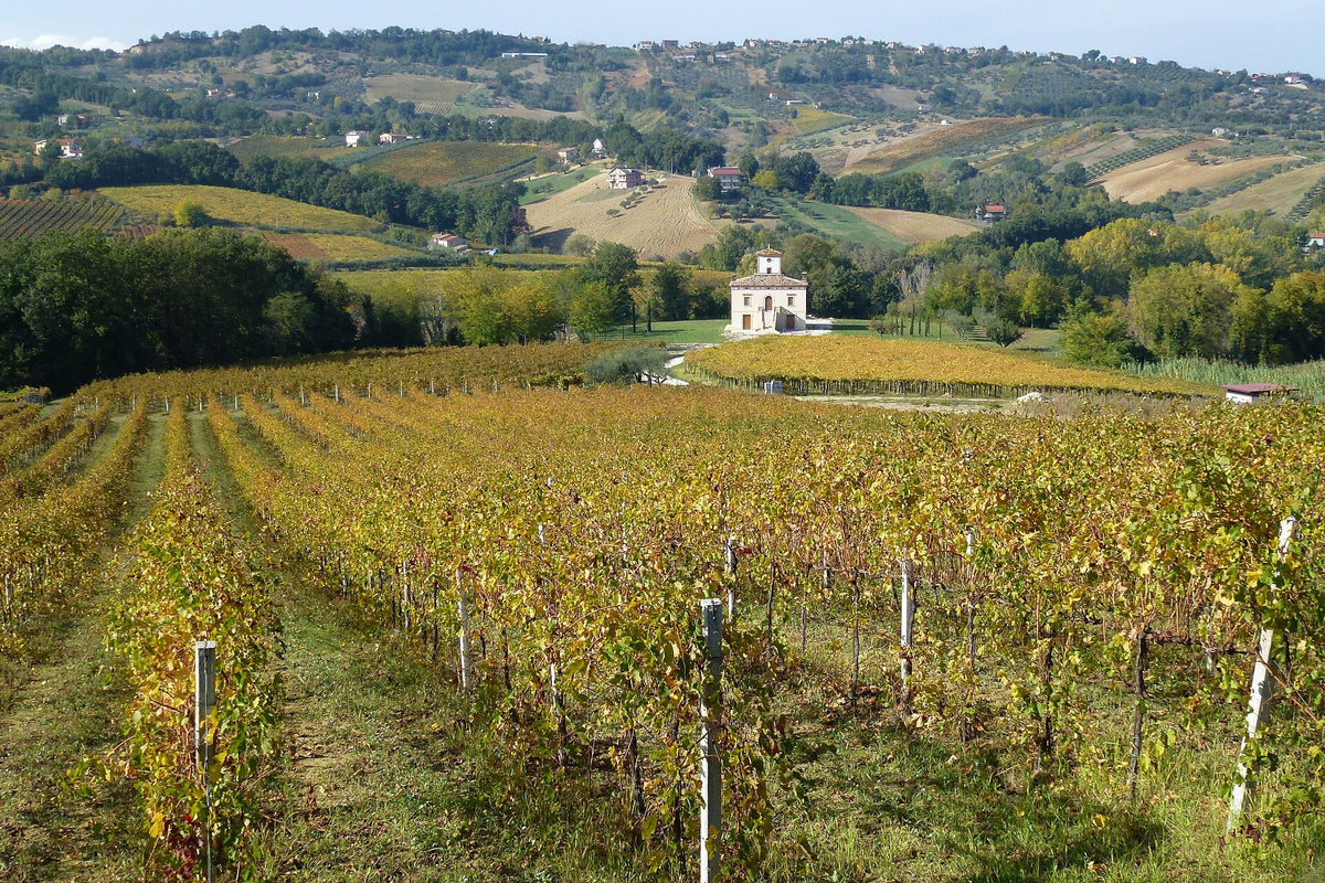 Colle Corviano
