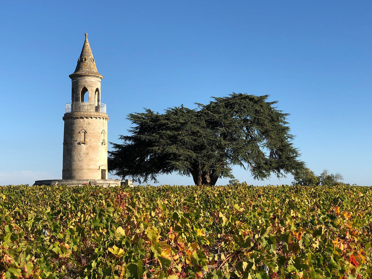 Château Pellebouc