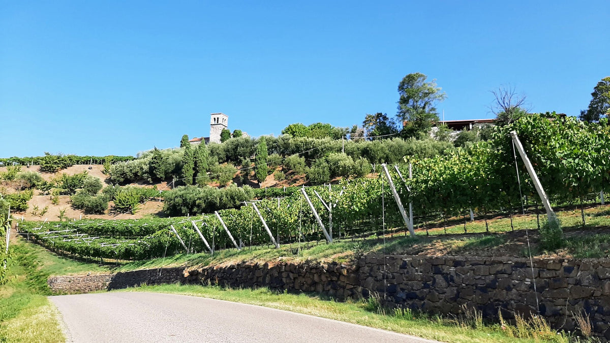 Fattoria Altomare