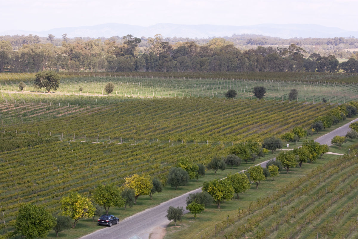 MWC Wines