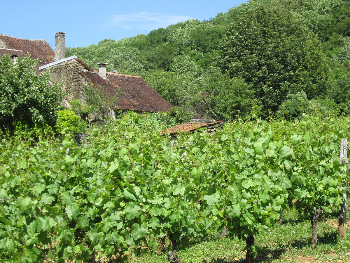 Domaine de Savagny