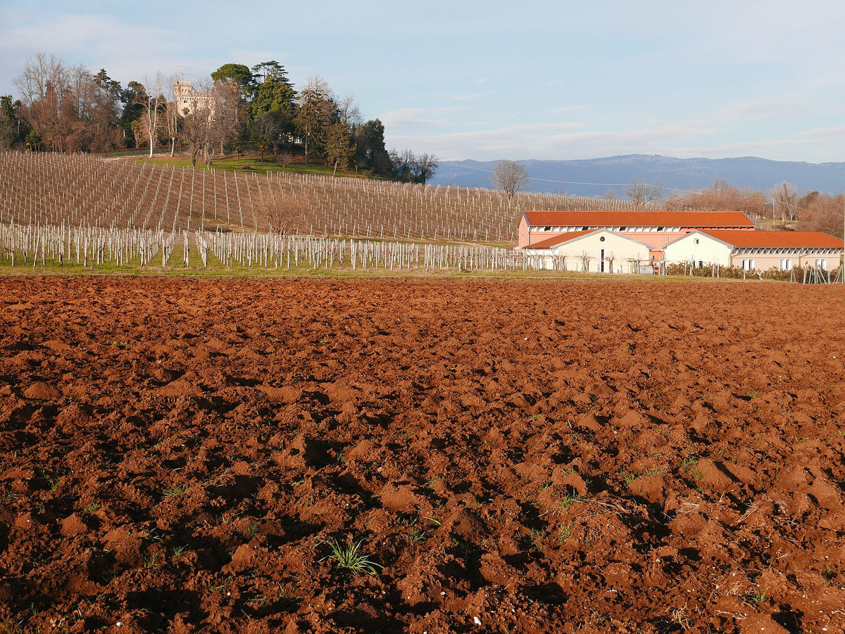 Azienda Agricola Gnirega Clementi