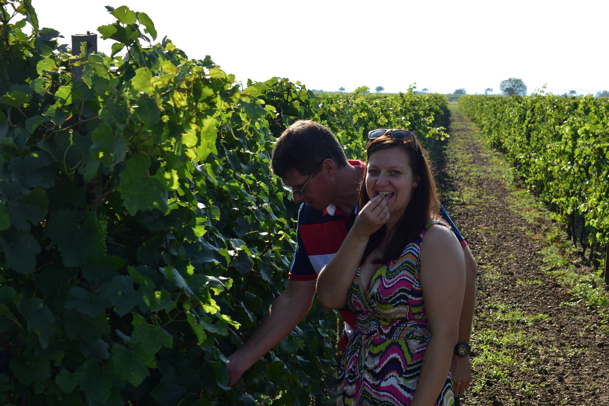 Weingut Preiner