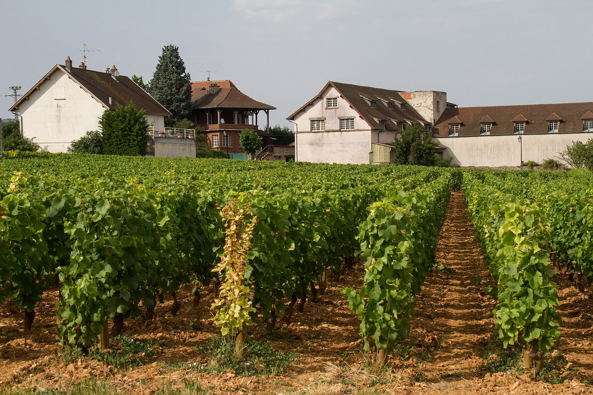 Domaine les Guignottes