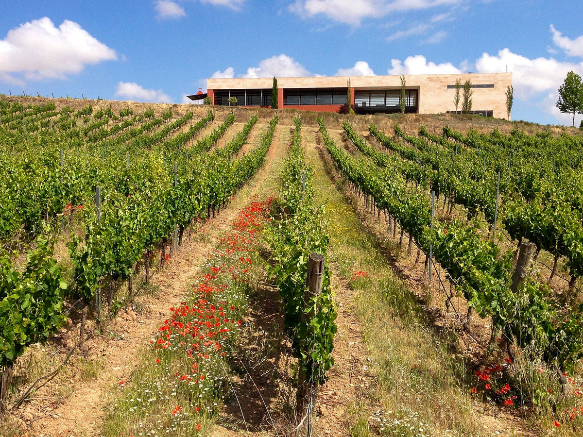 Bodegas Rippa Dorii