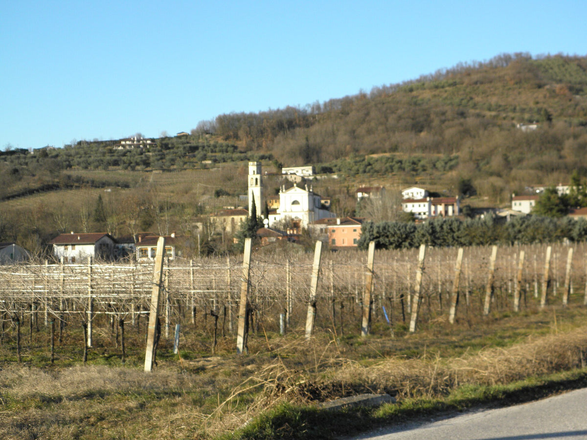 Fattoria Altomare