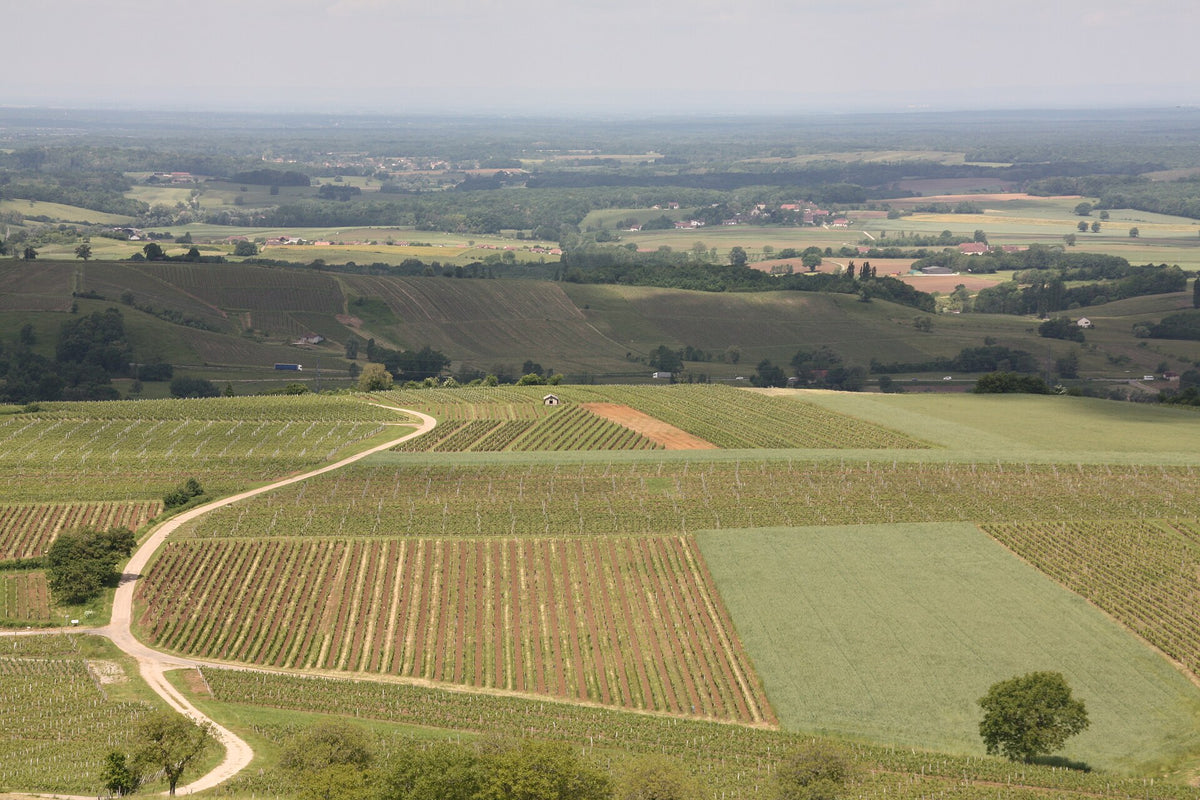 Domaine de Savagny