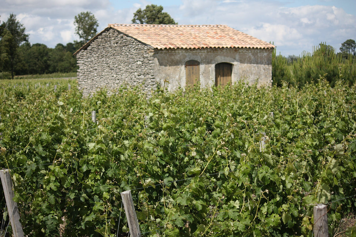 Château Pellebouc