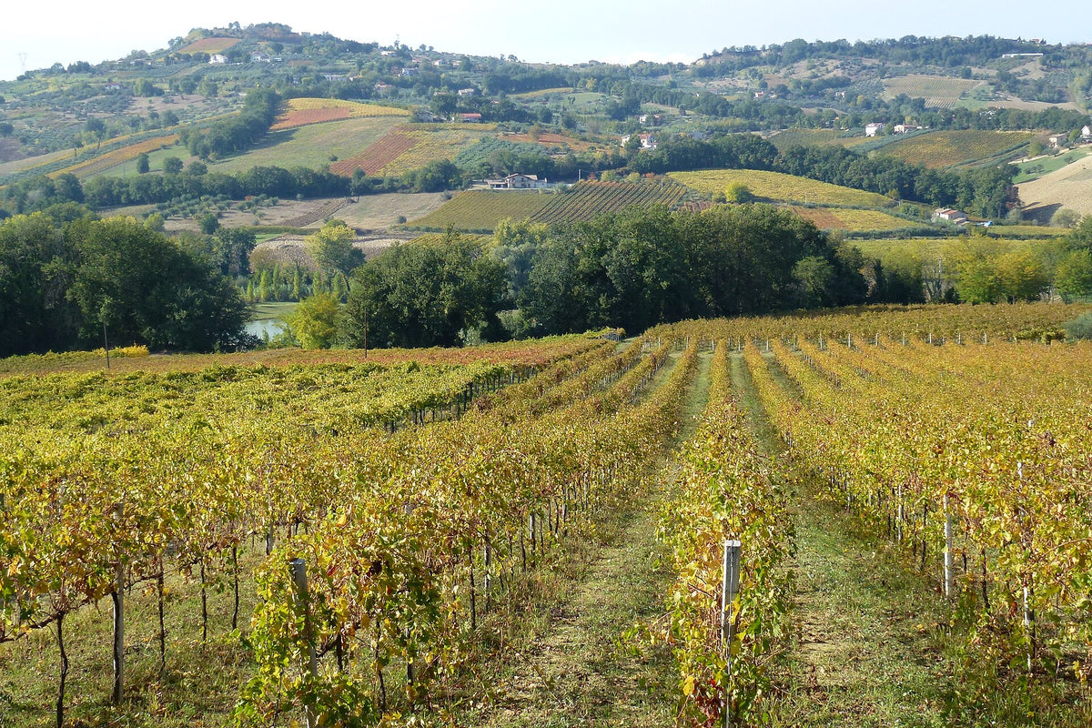 Colle Corviano