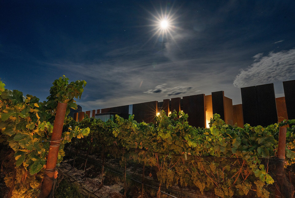 Villion Family Wines