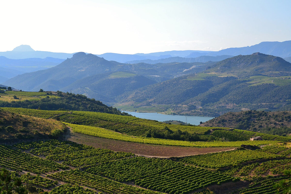 Vignerons Catalans