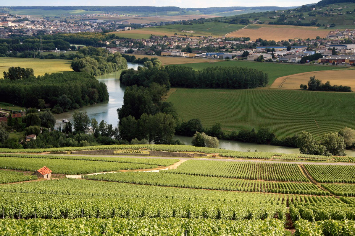 Champagne Lombard