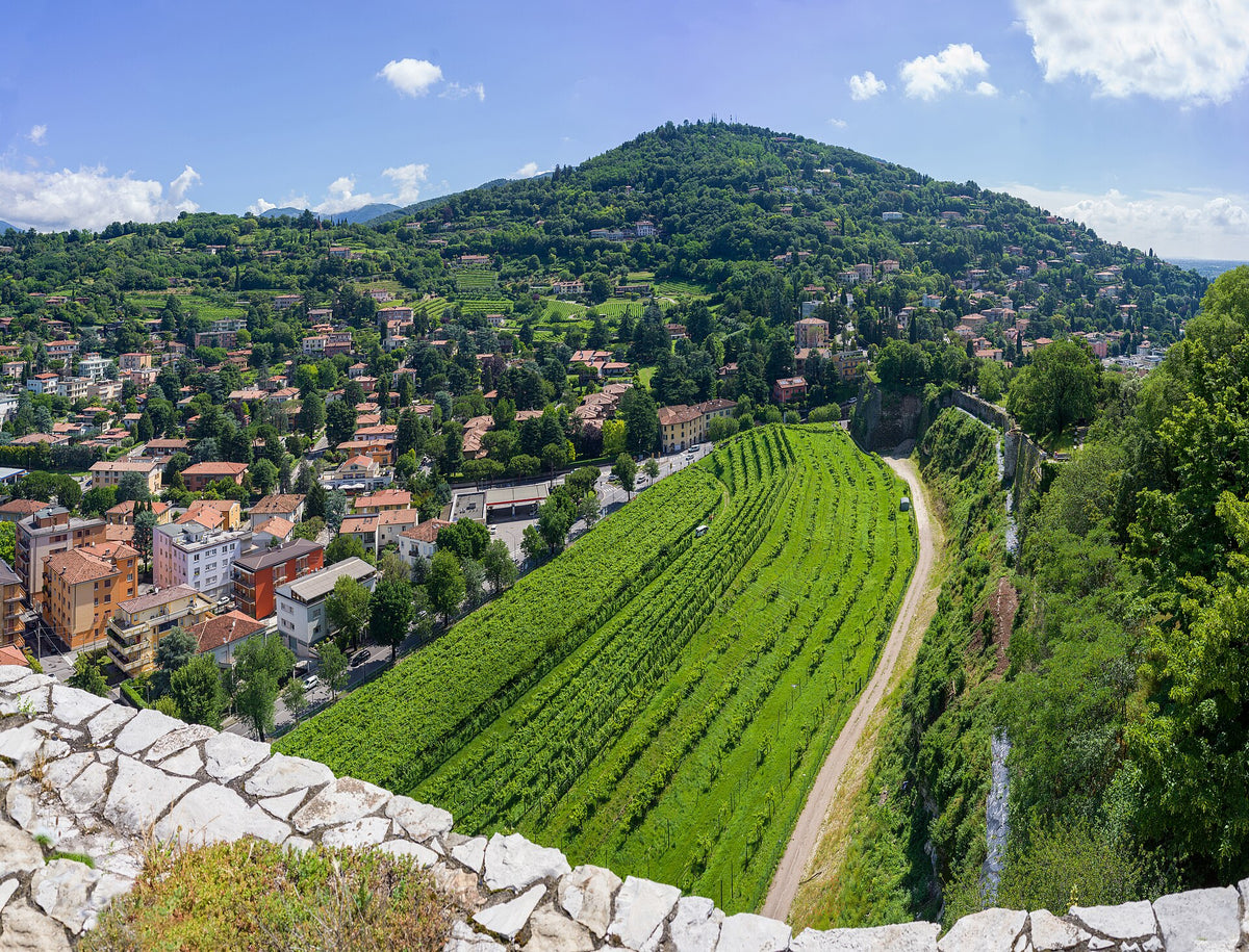 Azienda Agricola Gnirega Clementi