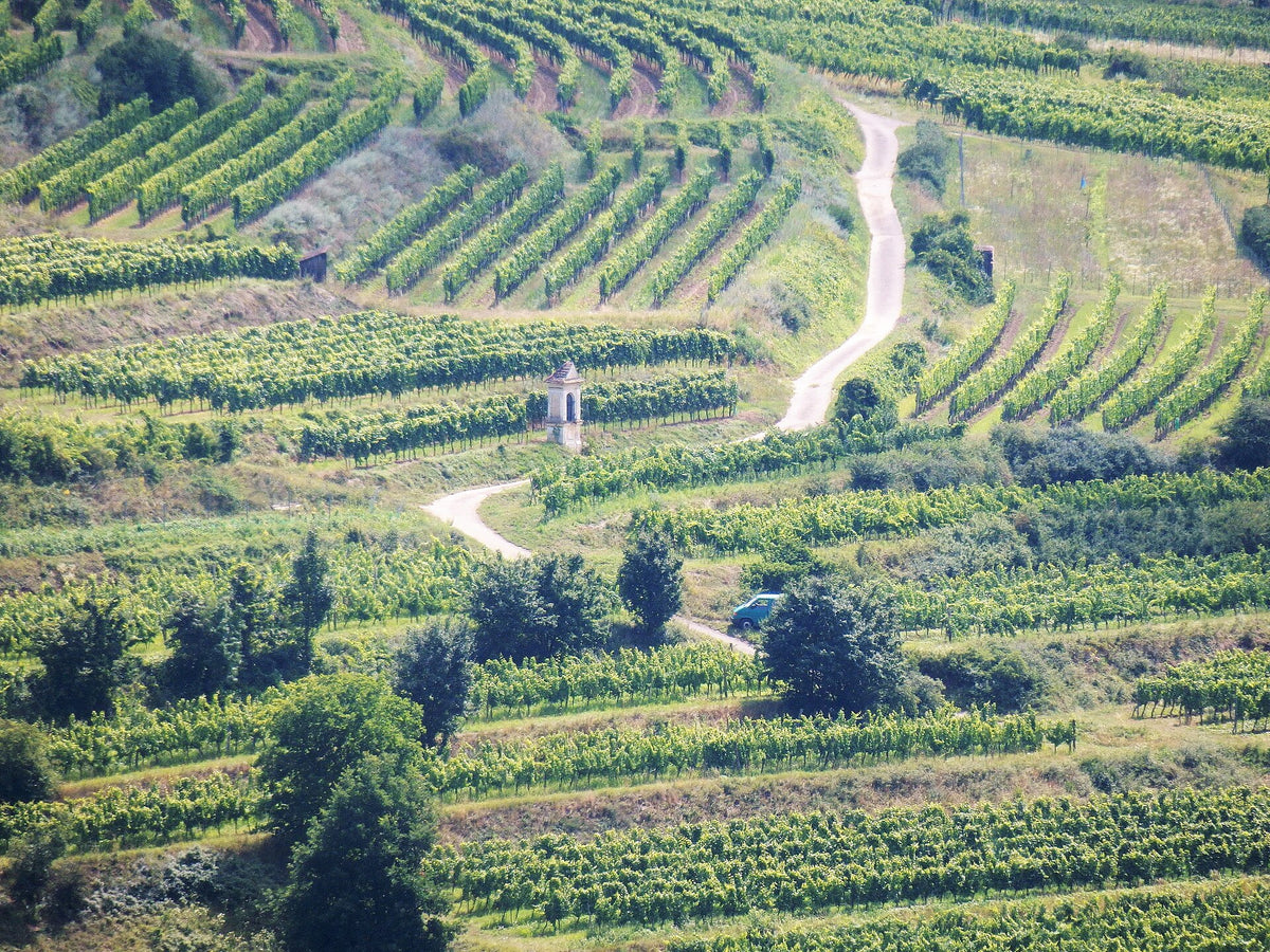 Weingut Höllerer