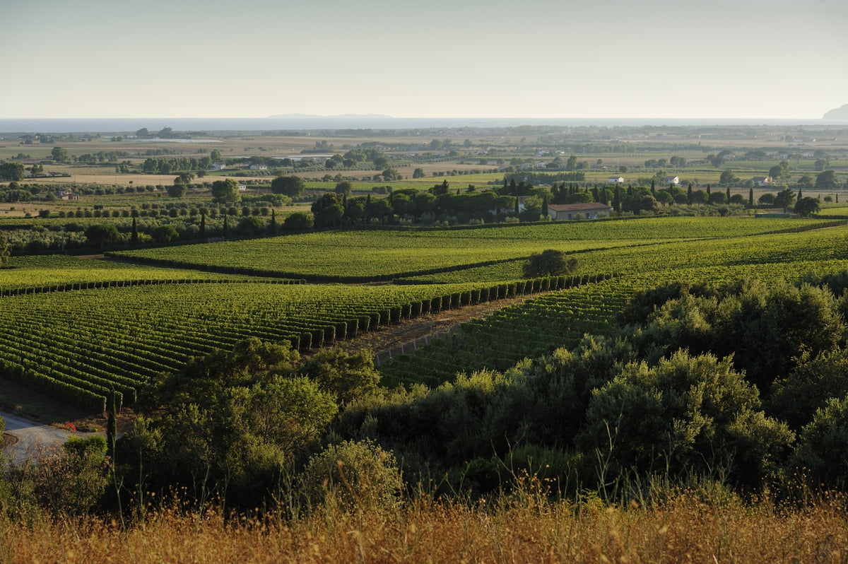 Fattoria Il Casalone