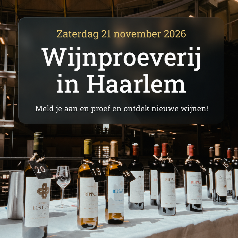 Wijnproeverij in De Koepel van Haarlem 🥂