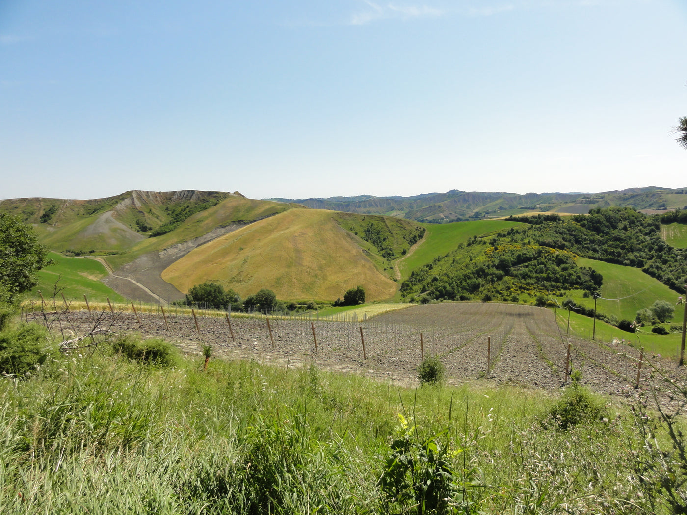 Fattoria Monticino Rosso
