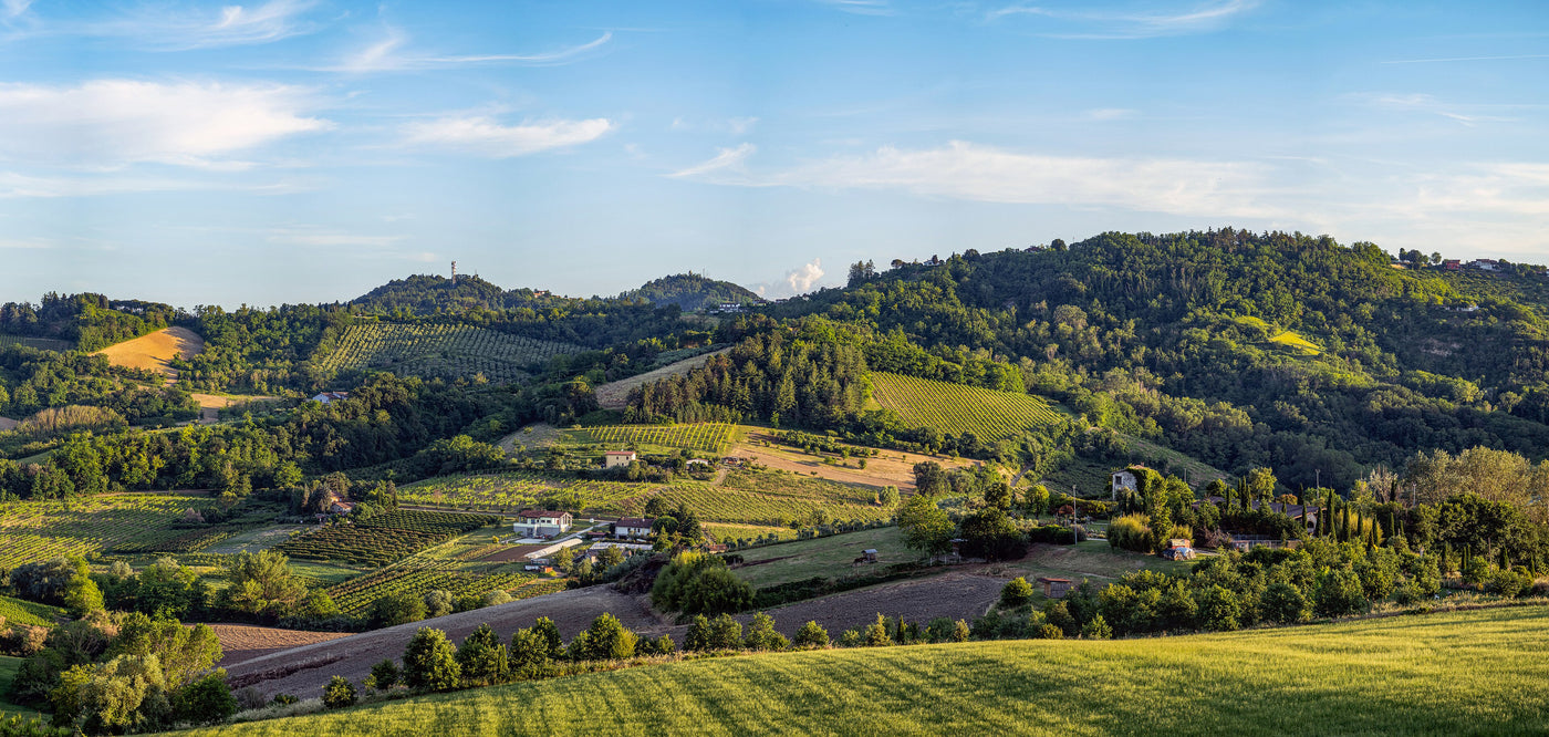 Fattoria Monticino Rosso