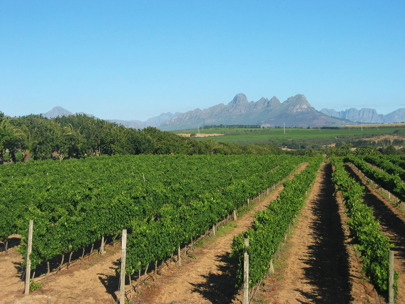 James McKenzie Winery