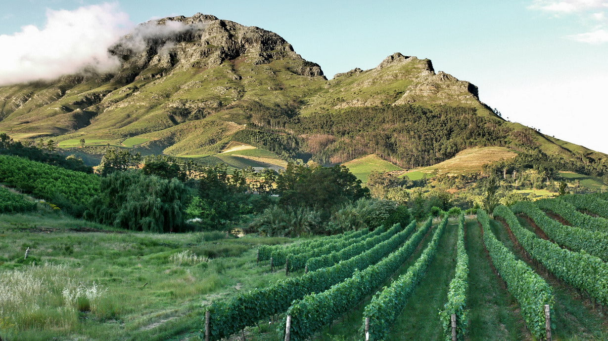 James McKenzie Winery