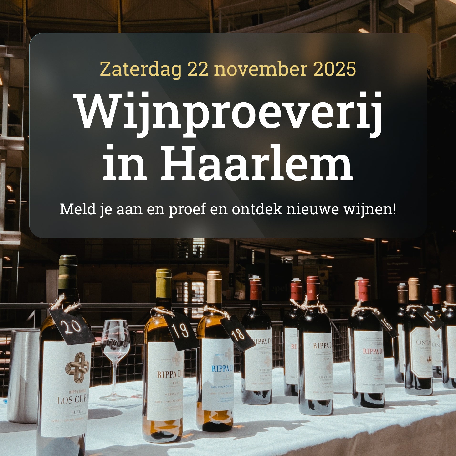 Wijnproeverij in De Koepel van Haarlem 🥂