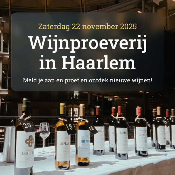 Wijnproeverij in De Koepel van Haarlem 🥂